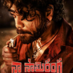 Naa Saami Ranga (2024) Hindi Dubbed Full Movie